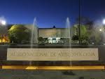 MUSEO DE ANTROPOLOGÍA